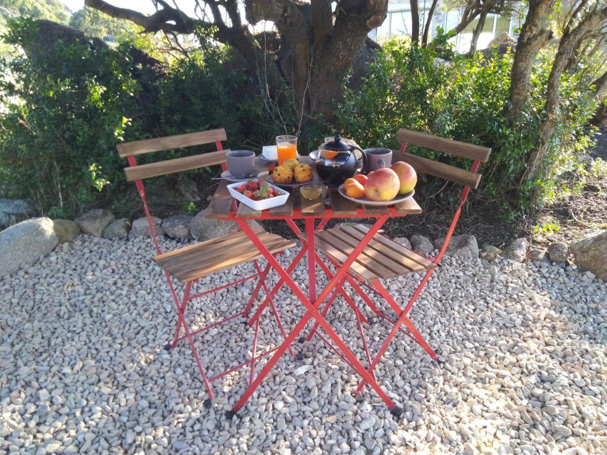 La Cera Farm Camping B&B Santa Teresa Gallura Exterior photo