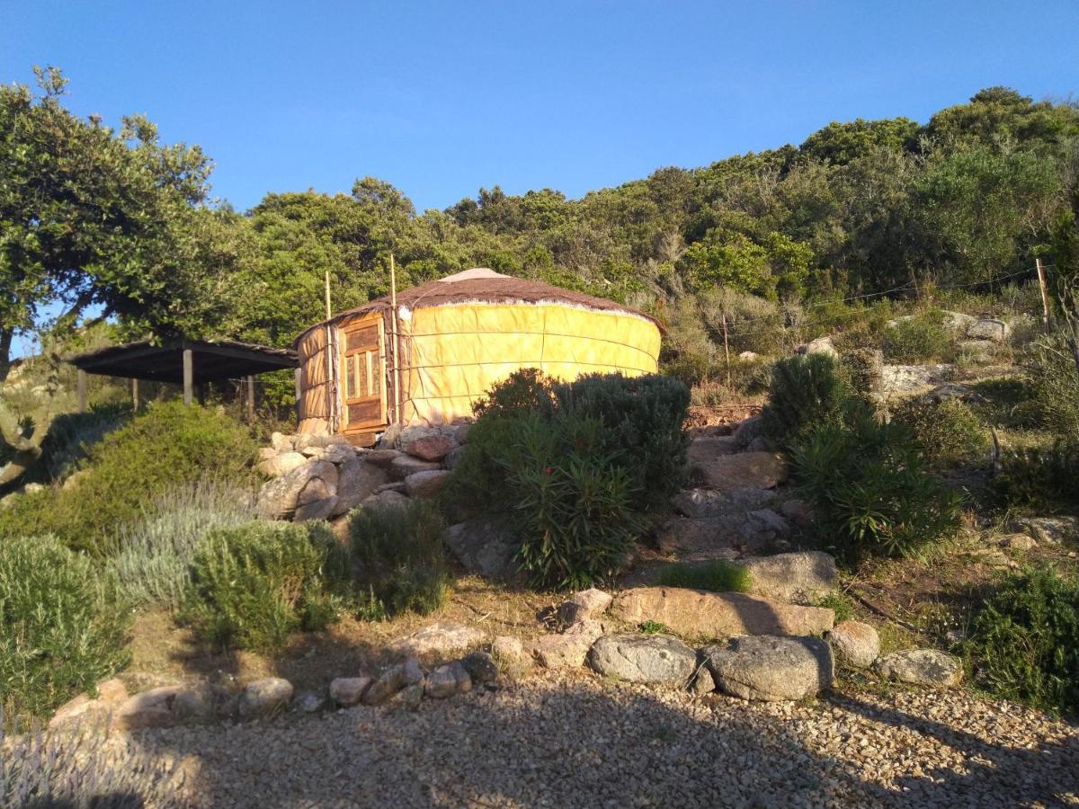 La Cera Farm Camping B&B Santa Teresa Gallura Exterior photo