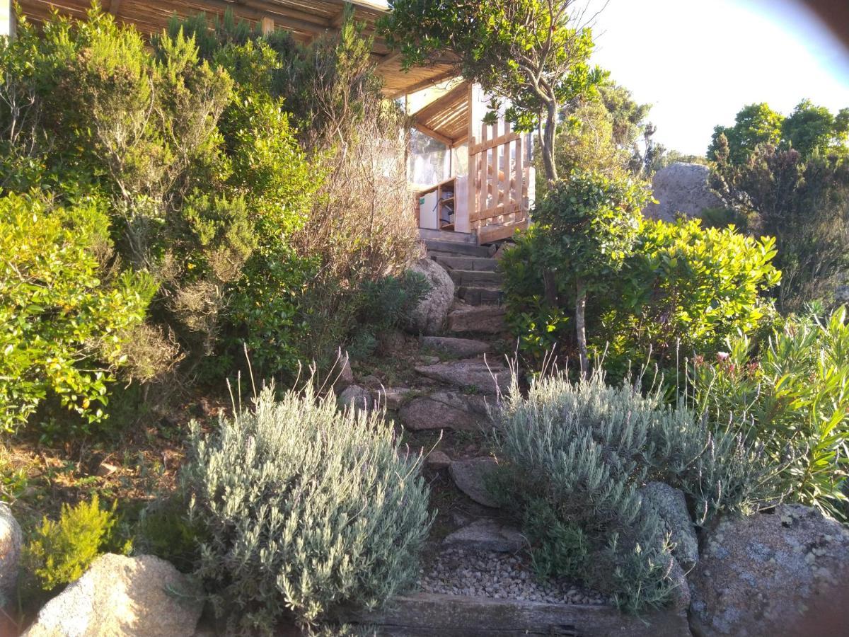 La Cera Farm Camping B&B Santa Teresa Gallura Exterior photo
