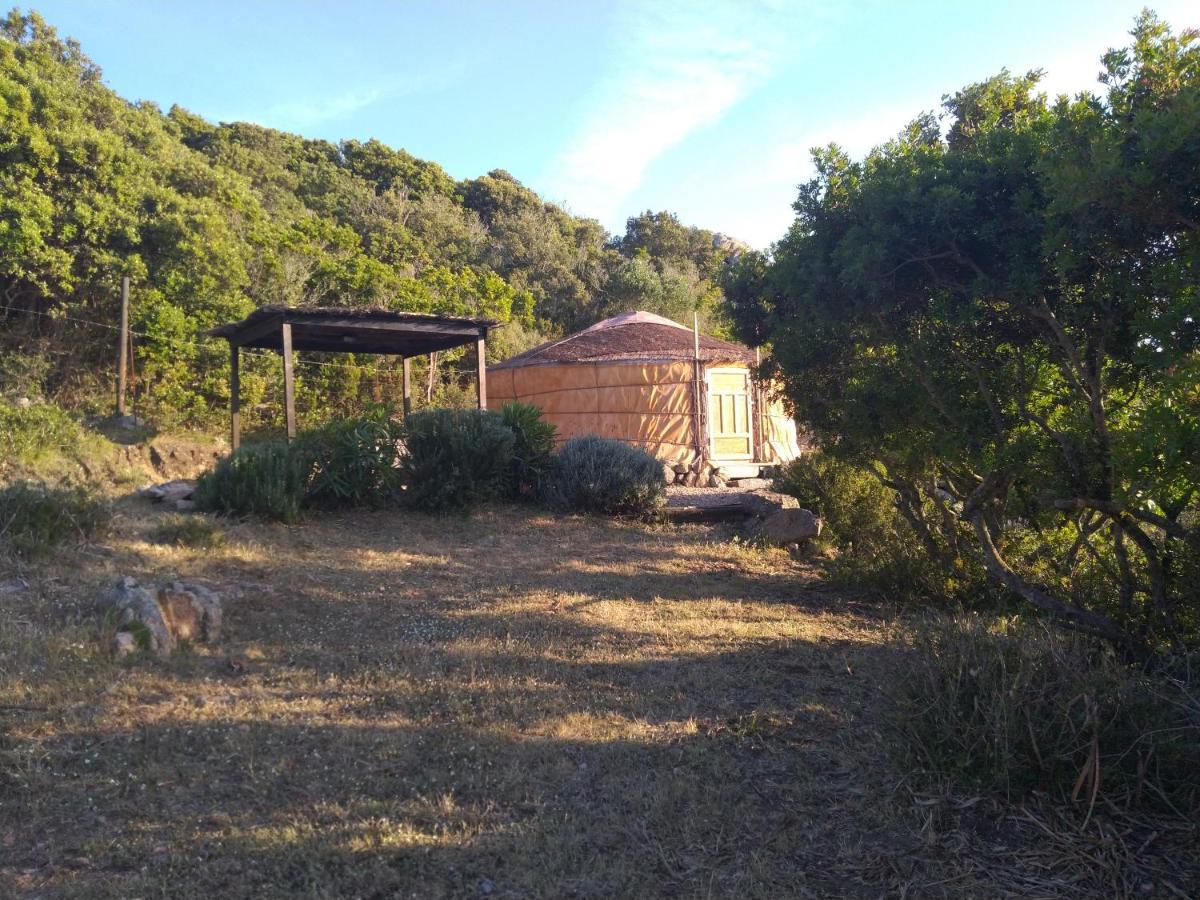 La Cera Farm Camping B&B Santa Teresa Gallura Exterior photo
