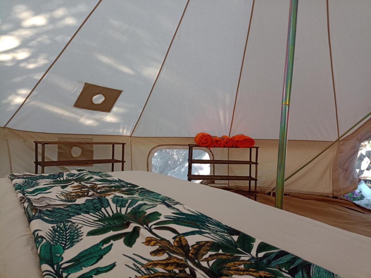 La Cera Farm Camping B&B Santa Teresa Gallura Exterior photo