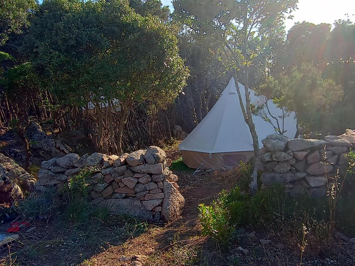 La Cera Farm Camping B&B Santa Teresa Gallura Exterior photo
