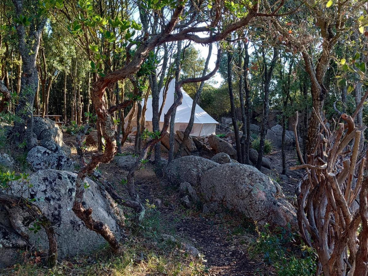 La Cera Farm Camping B&B Santa Teresa Gallura Exterior photo
