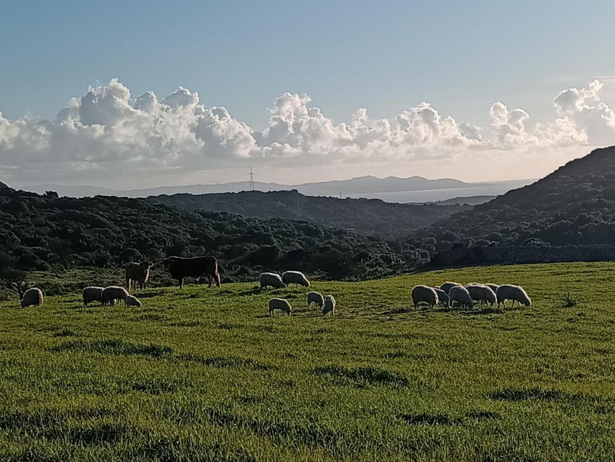 La Cera Farm Camping B&B Santa Teresa Gallura Exterior photo