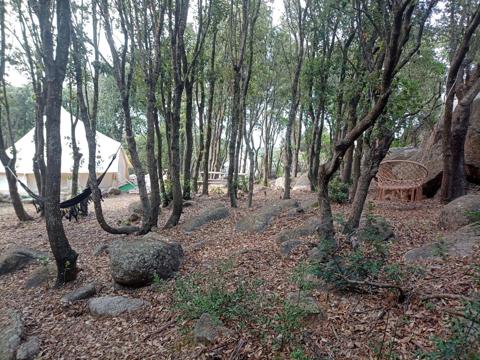 La Cera Farm Camping B&B Santa Teresa Gallura Exterior photo