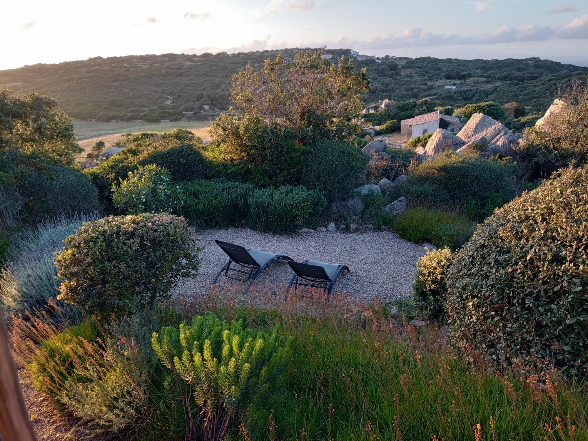 La Cera Farm Camping B&B Santa Teresa Gallura Exterior photo