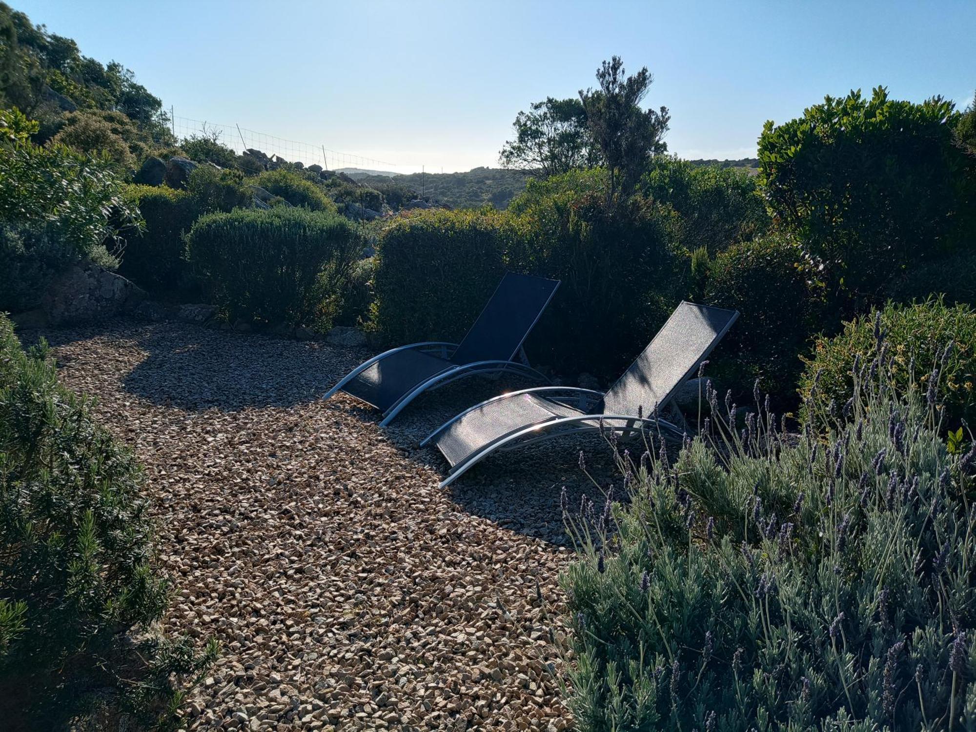 La Cera Farm Camping B&B Santa Teresa Gallura Exterior photo