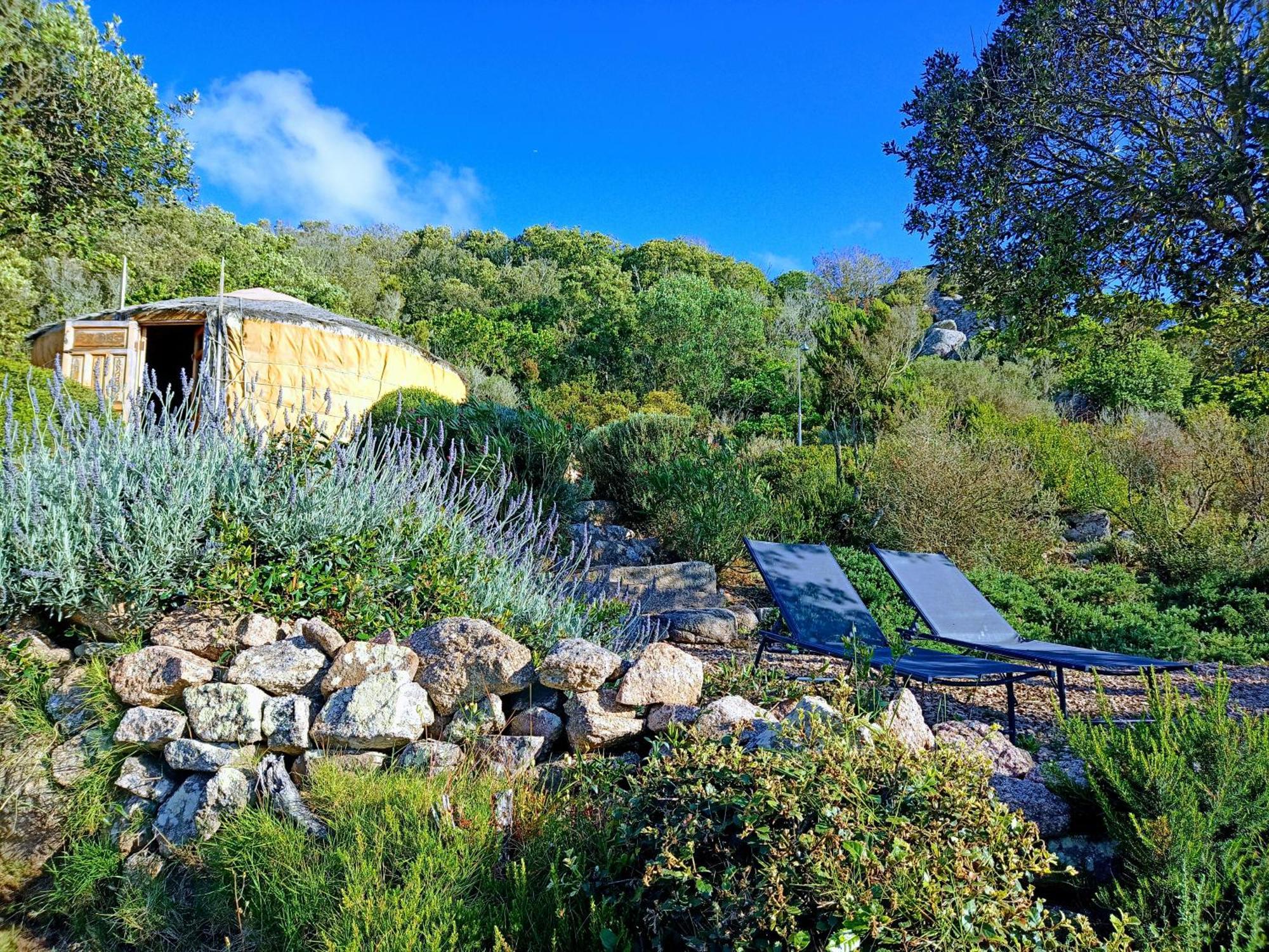 La Cera Farm Camping B&B Santa Teresa Gallura Exterior photo