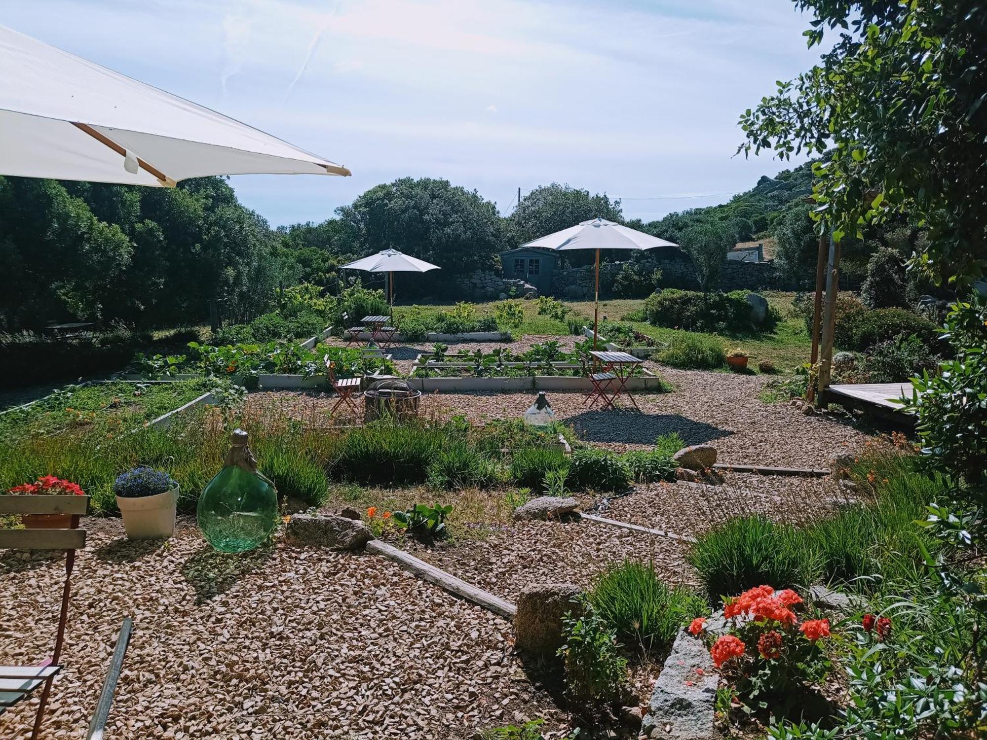 La Cera Farm Camping B&B Santa Teresa Gallura Exterior photo