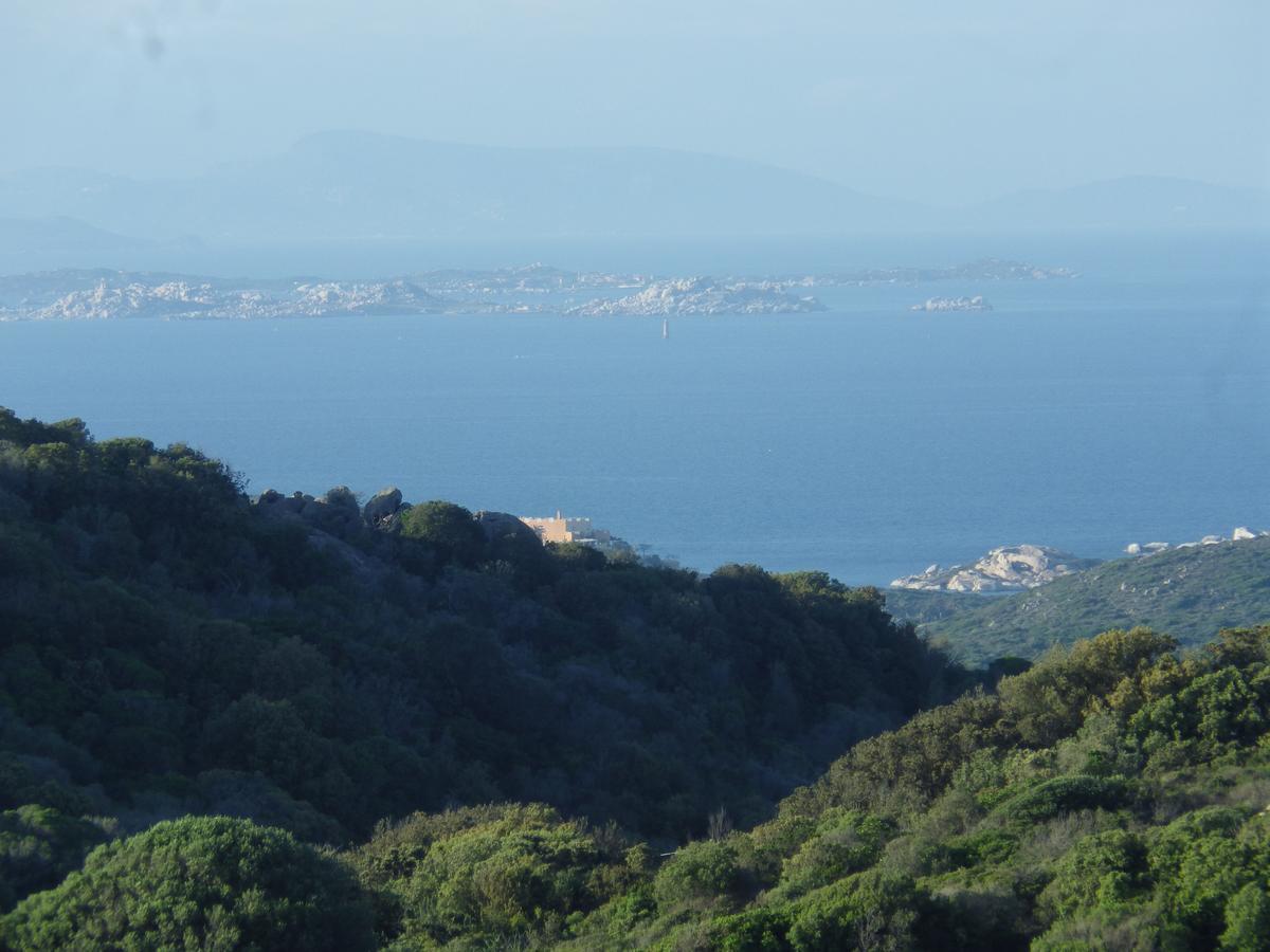 La Cera Farm Camping B&B Santa Teresa Gallura Exterior photo